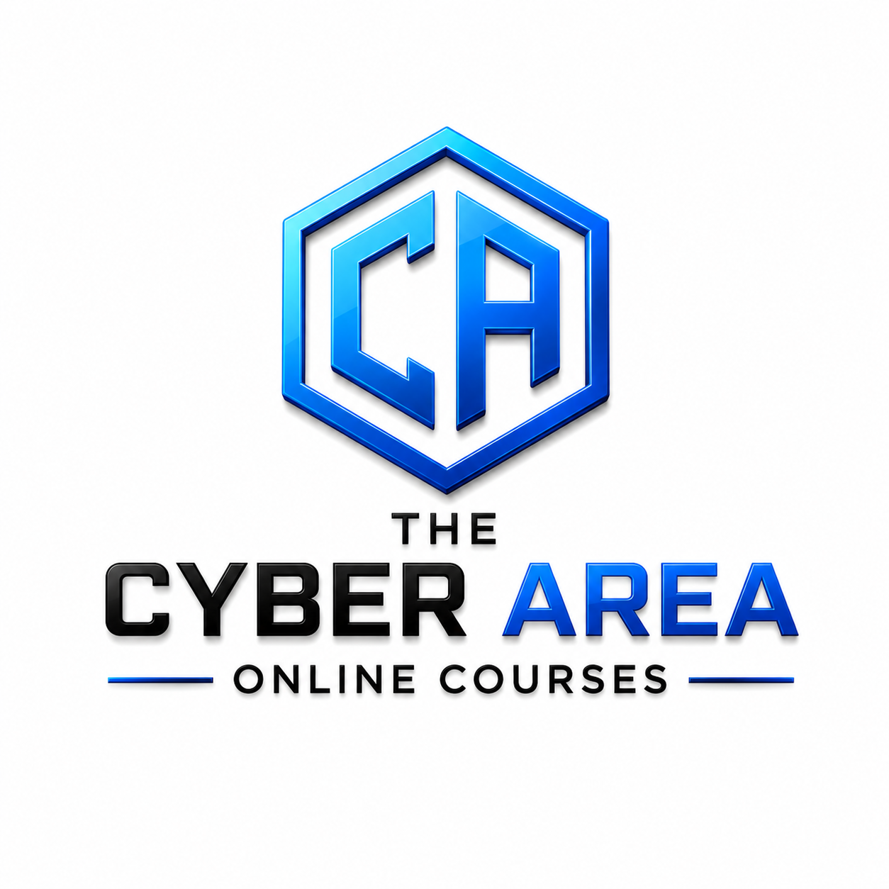 The Cyber Area